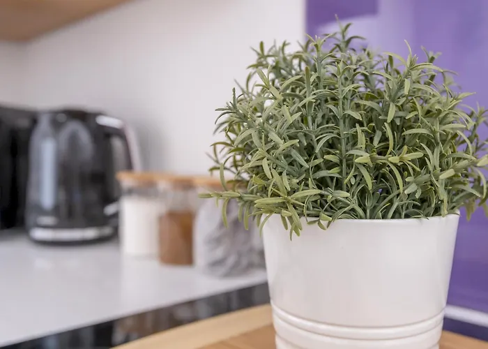 Apartment Chapel Allerton Retreat For Families Parking - Pass The Keys Leeds (West Yorkshire)